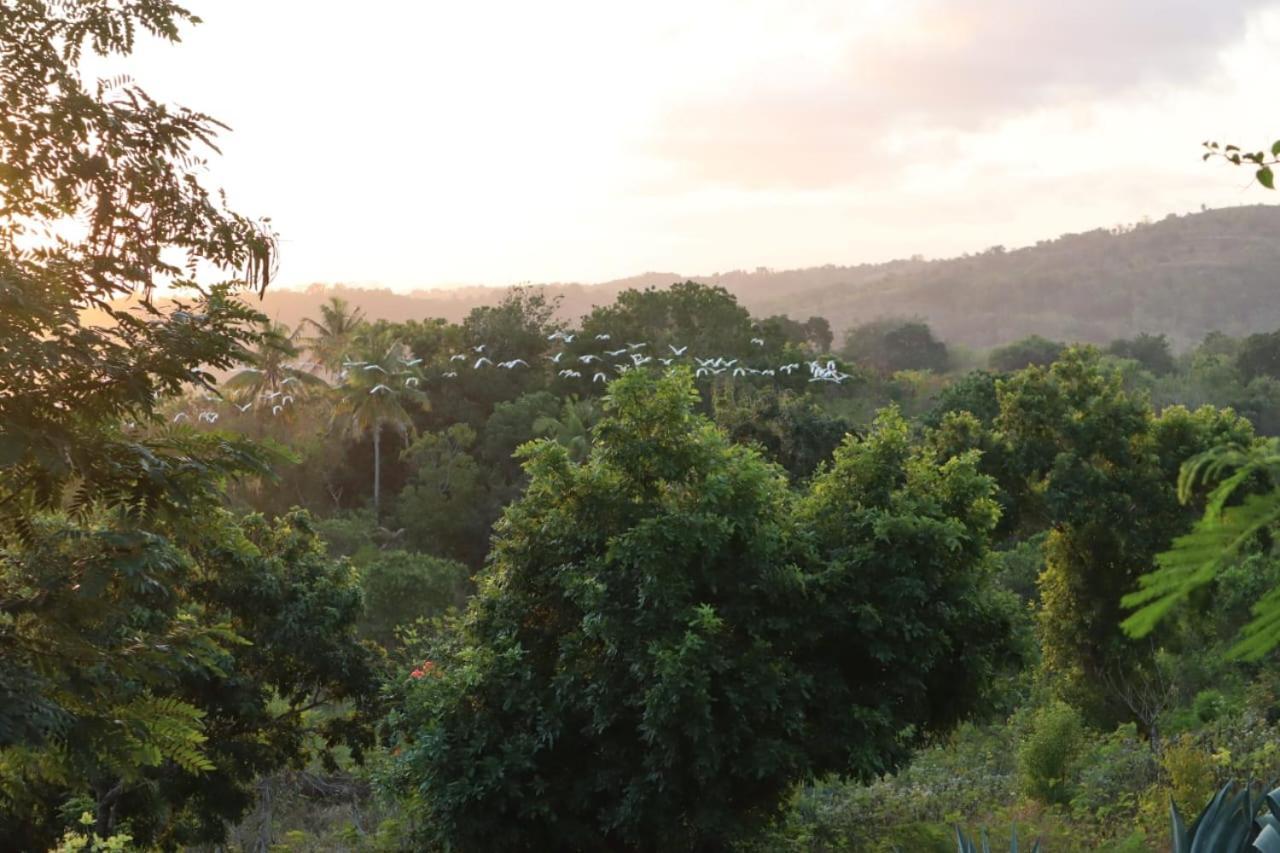 Sumba Nautil Resort Deke Exterior foto